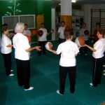 Encuentro Tai Chi Kung Fu Oliva primavera 2015